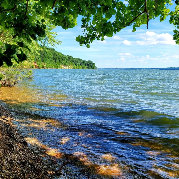 Meet my Hellhound Dexter 😈. He's a thief but loves respectful offers! - Picture 9 of 12